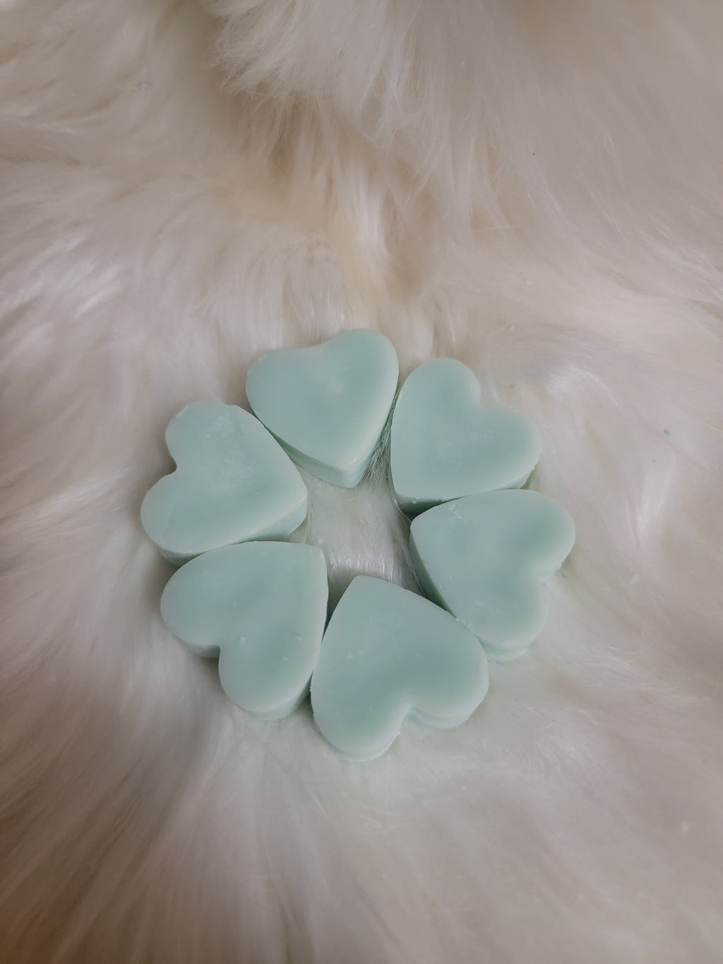 Jaded Succulent Wax Melt