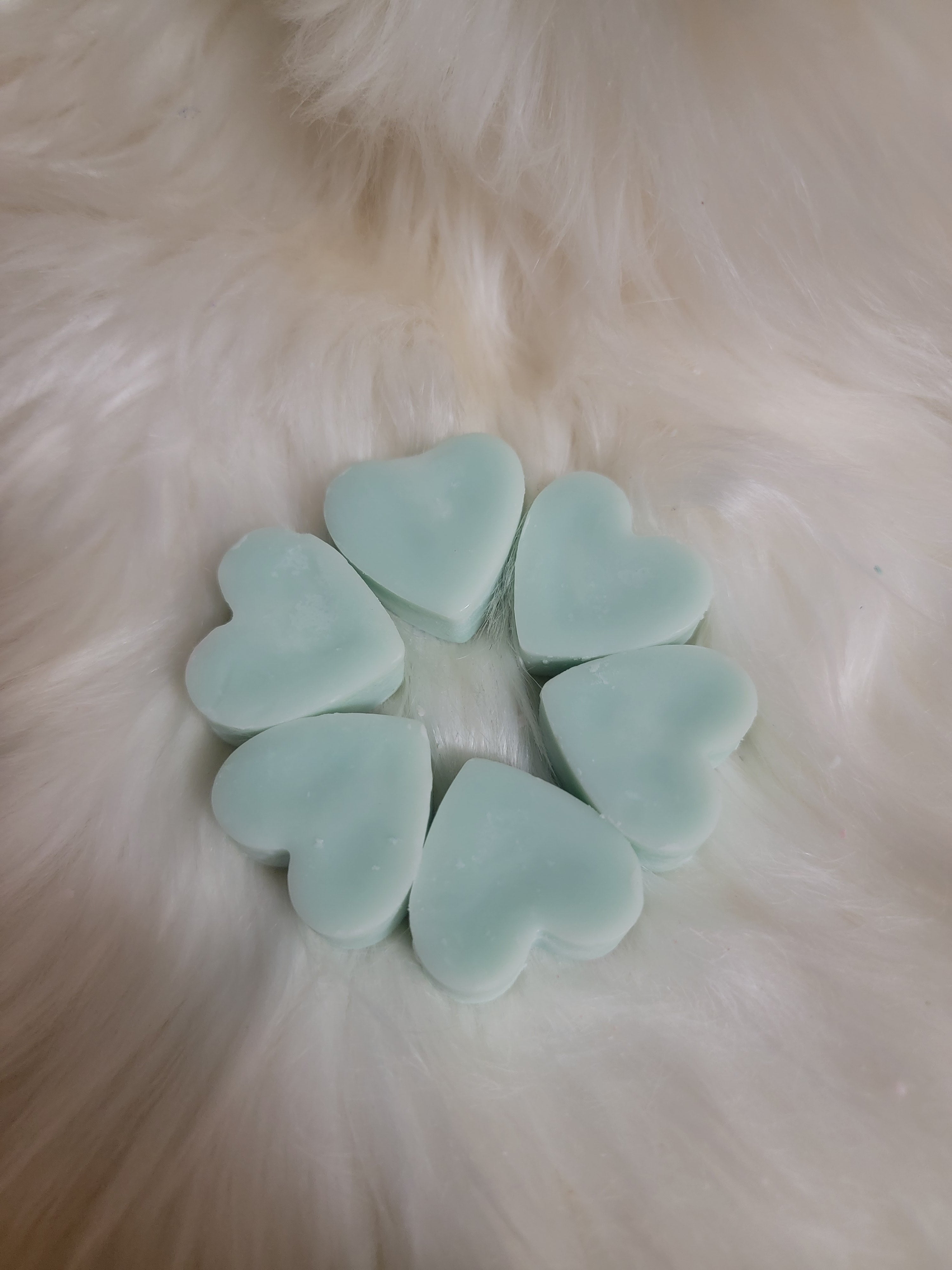 Jaded Succulent Wax Melt